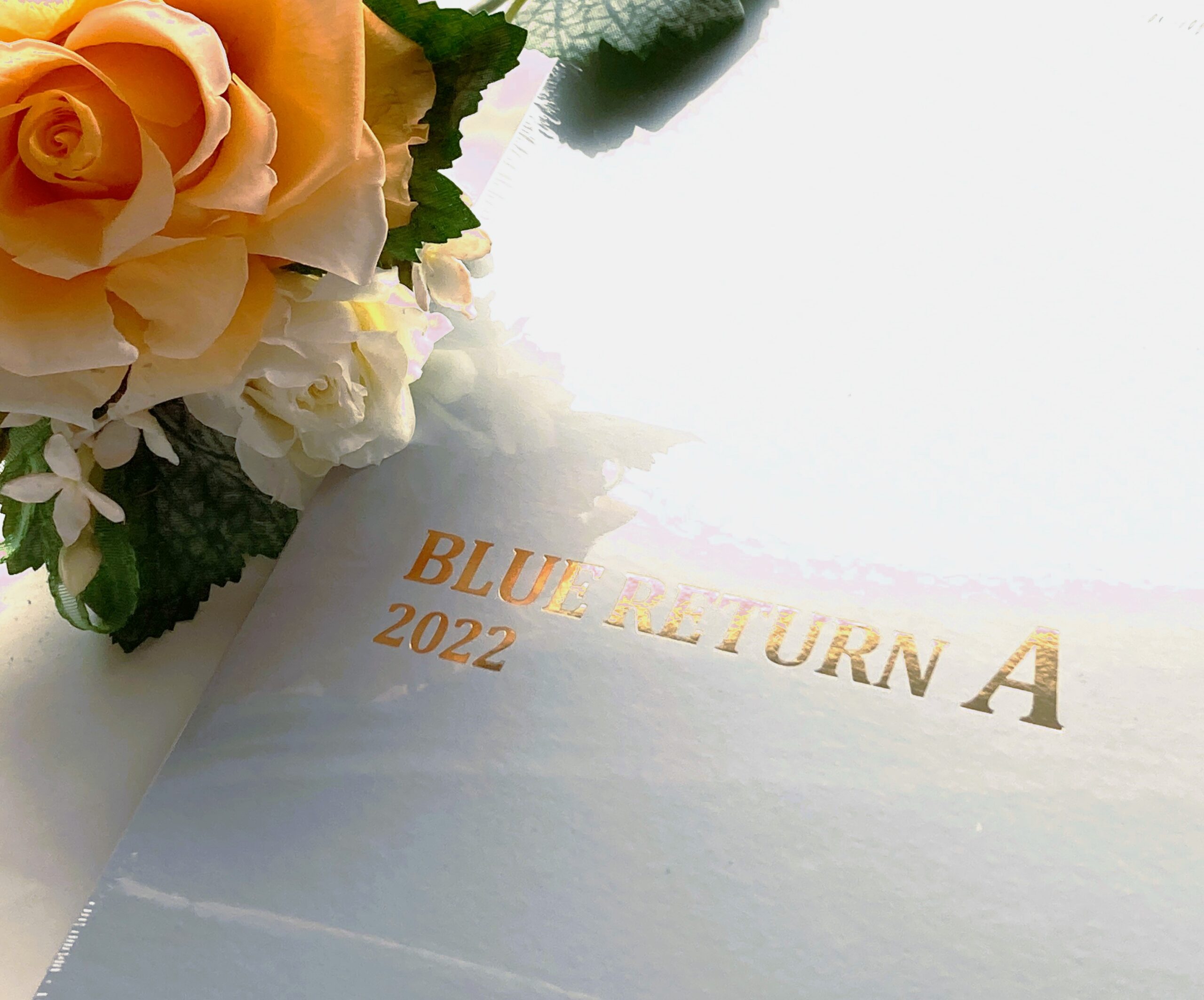 Q７．会計ソフト「BLUE RETURN A」ってなに？